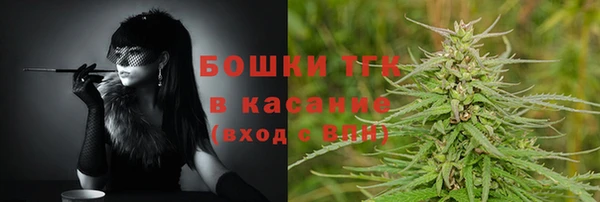 дмт Абаза