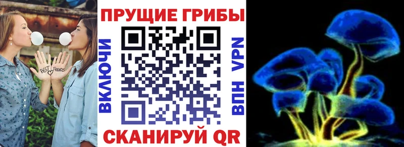 Галлюциногенные грибы мухоморы  купить наркотики сайты  Амурск 